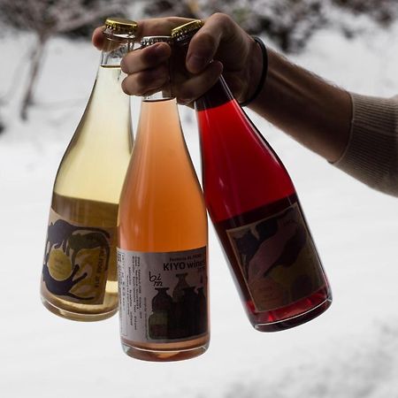 A.I.R. Myoko酒店 外观 照片